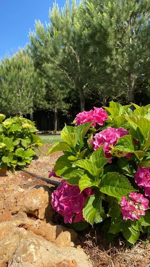 Quinta Da Alquimia Διαμέρισμα Λάγος